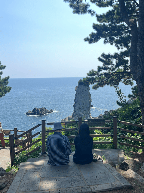 Jeju: Highlight Customized Private Tour With Expert Guide - Pricing and Booking