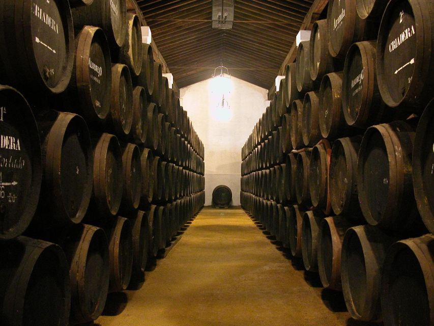 Jerez: Álvaro Domecq Wineries Guided Tour With Wine Tasting - Tour Details and Pricing