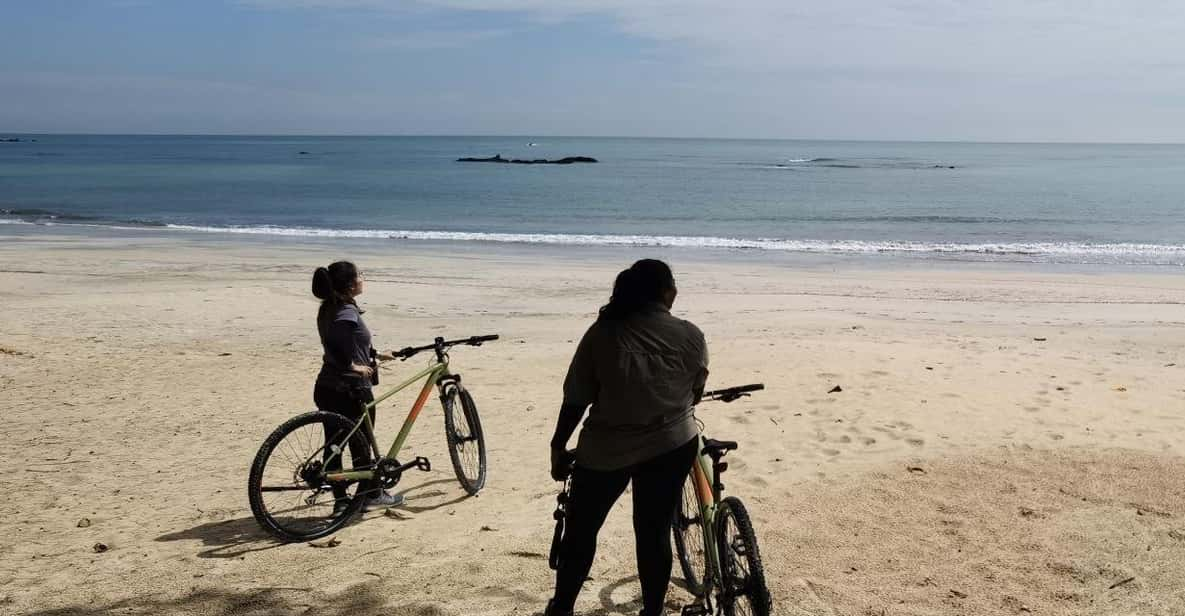 Johor: Desaru Coast Cycling - Overview of the Cycling Activity