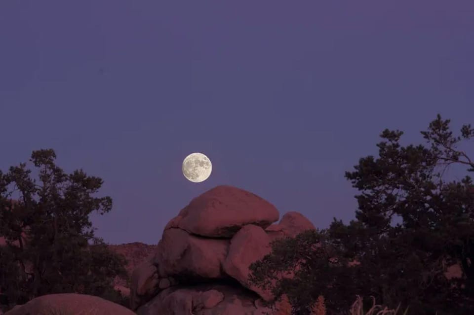 Joshua Tree: Full Moon Hike With Local Guide - Activity Overview