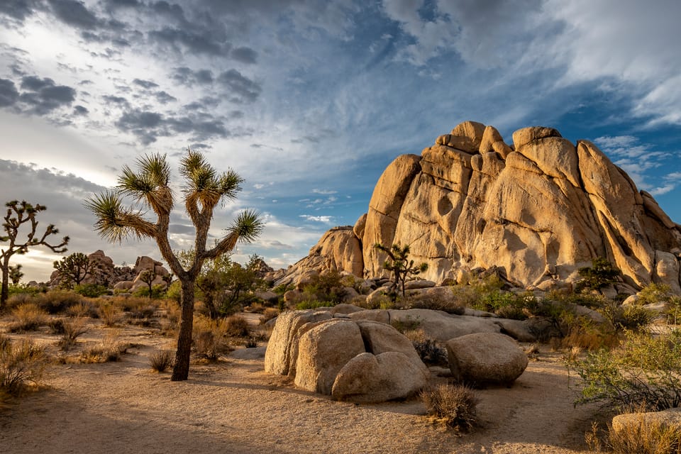 Joshua Tree: Keys View Iconic Driving Tour - Tour Overview