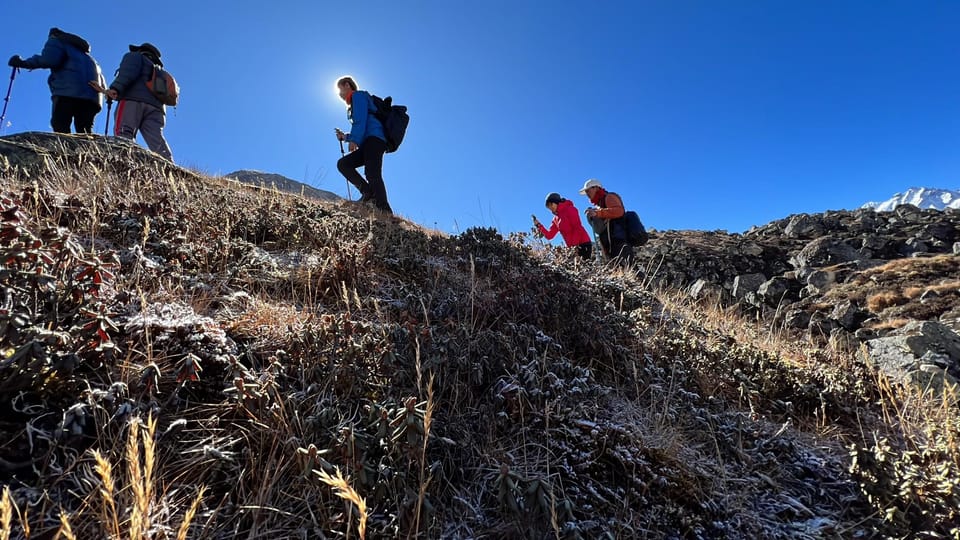 Journey Through Langtang: a 6-Day Trek With Meals - Trek Overview and Pricing