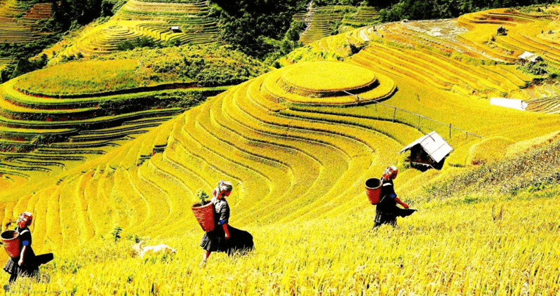 Journey Through Sapa Terraces & Traditions - Itinerary Highlights