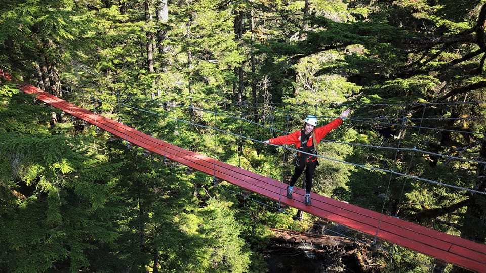 Juneau: Alpine Zipline Adventure - Overview of the Adventure