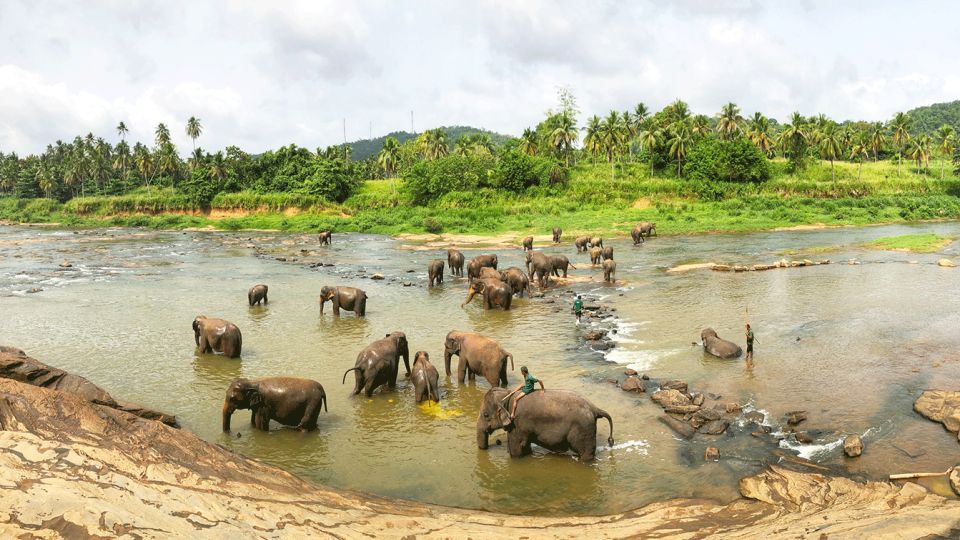 Kandy, Pinnawala Day Trip From Bentota, Kalutara Beach - Exploring Pinnawala Elephant Orphanage