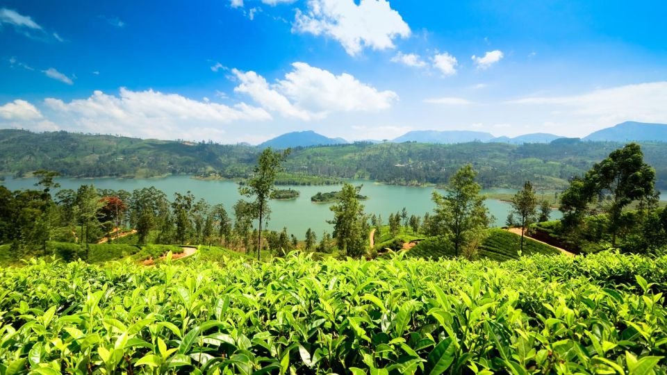 Kandy to Nuwara Eliya Day Tour by Tuk Tuk Sri Lanka - Tour Overview