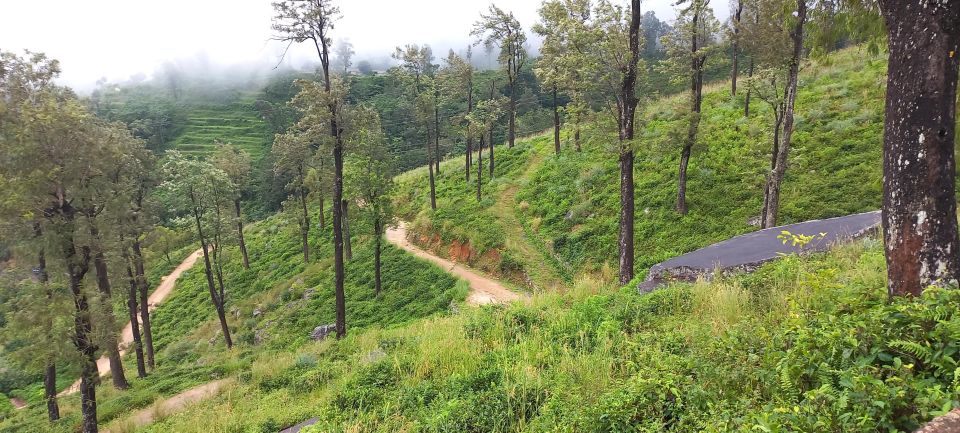 Kandy to Nuwaraeliya 3D Trekking Pekoe Trails Stage 1-2-&-3 - Overview and Pricing