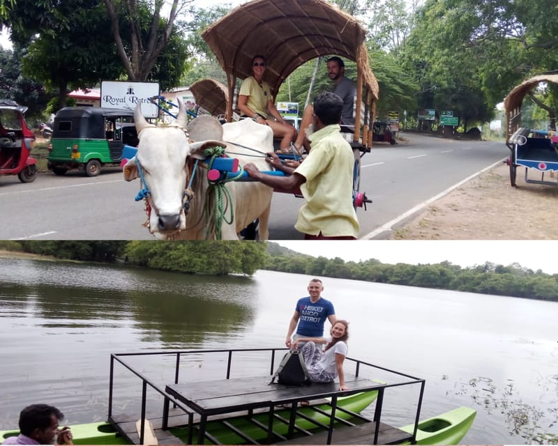 Kandy to Sigiriya & Dambulla Private Day Tour - Tour Overview