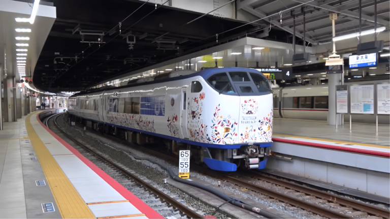 Kansai-Airport Express HARUKA One-way Ticket