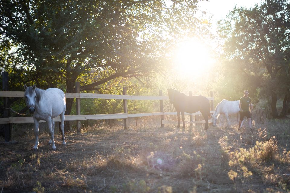 Kastraki: Meteora Sunset Horseback Riding - Experience Highlights