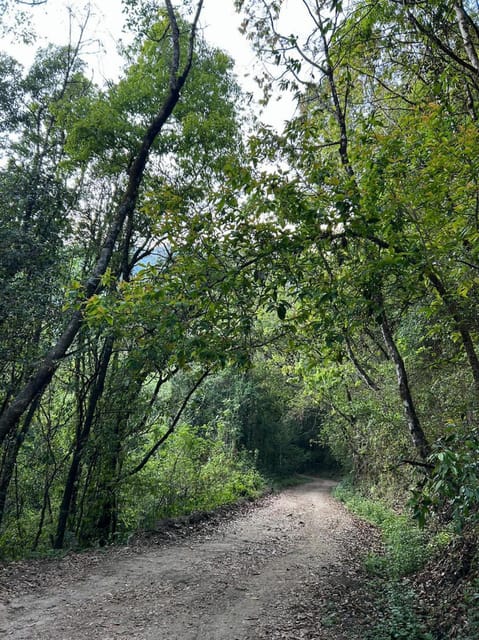 Kathmandu: Jamacho( Nagarjung Danda) Day Hike - Overview of the Hike