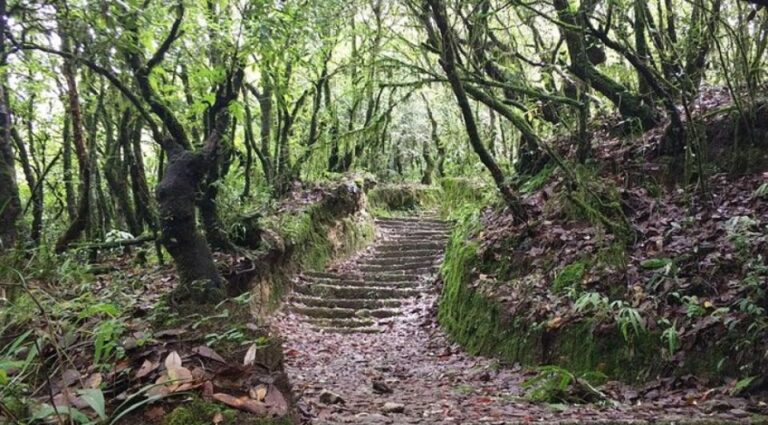 Kathmandu: Nagarjun Hill Private Day Hike