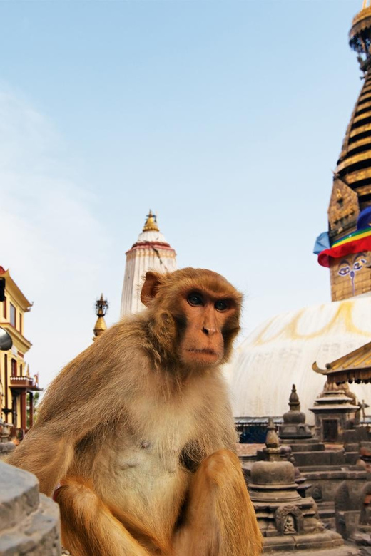 Kathmandu Sightseeing Tour With Private Car and Guide - Tour Overview and Highlights