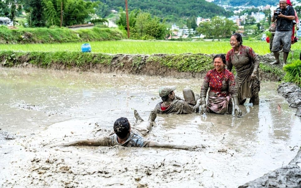 Kathmandu: the Mud and the Miracle,Paddy Plantation Festival - Overview of the Festival