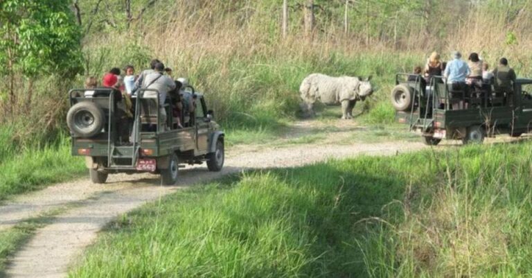 Kathmandu:3-Days Chitwan Jungle Safari Tour All Inclusive