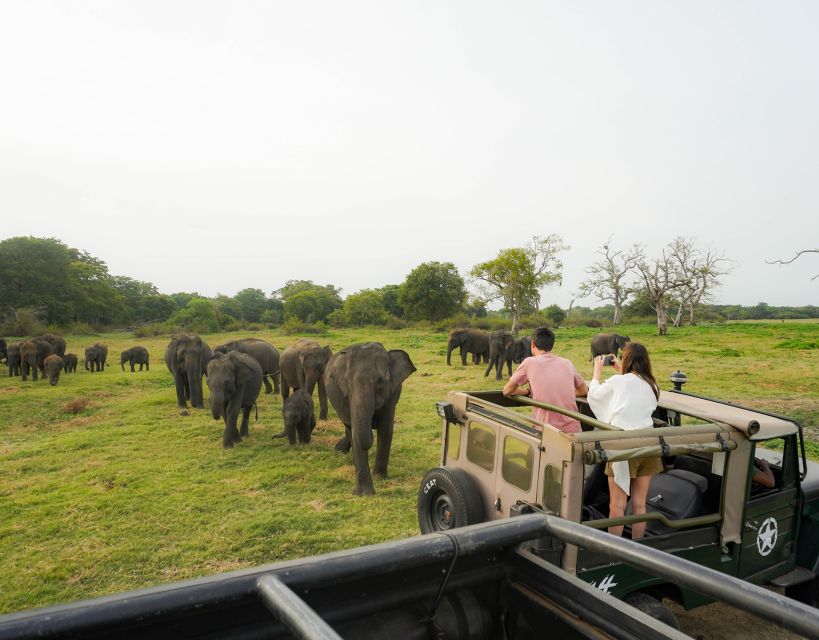 Kaudulla National Park Half Day Sri Lanka Jeep Safari - Activity Overview