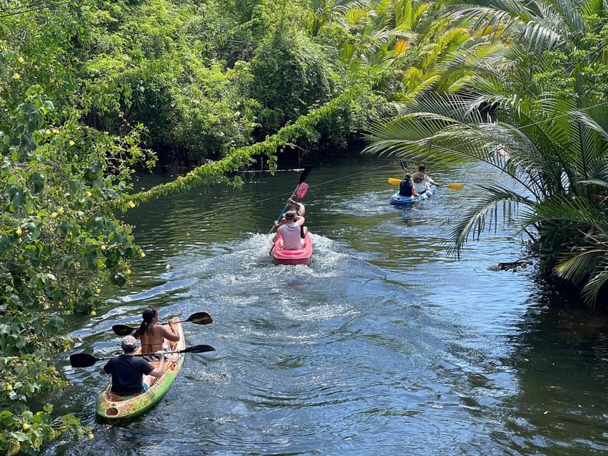 Kayaking Tour Around Green Cathedral - Tour Overview and Pricing