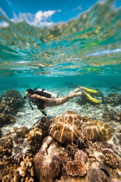 Key Largo: Molasses Reef Novice to Intermediate Dive - Dive Location