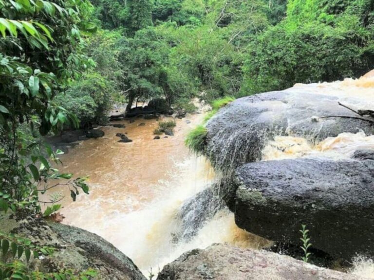 Khao Yai Waterfalls-Culinary Experience-Eco Printing: 2 Days