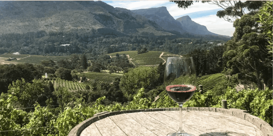 Kirstenbosch Botanical Garden and Constantia Wine Tasting - Tour Overview
