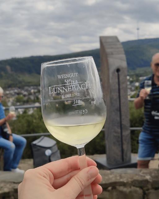 Koblenz: The Living Vineyard, Nature & Wine Enjoyment - Adventure in the Moselle Vineyards