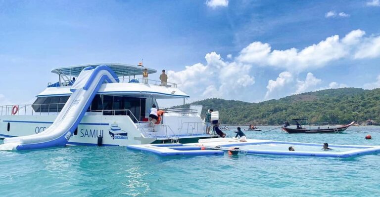 Koh Samui: Dolphin and 3-Island Power Speed Catamaran Tour