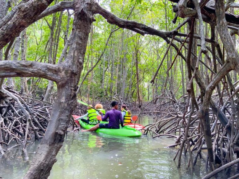 Koh Yao Yai: Klong Hia Mangrove Kayaking