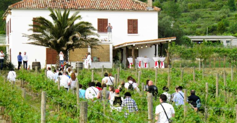 Konavle Valley: Tour With Wine Tasting From Dubrovnik