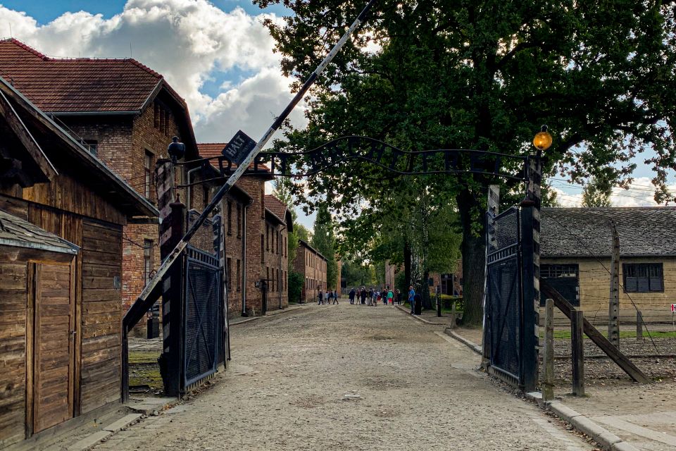 Krakow: Auschwitz-Birkenau and Wieliczka Salt Mine Day Trip - Overview of the Day Trip