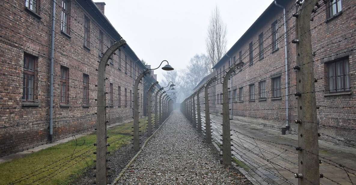 Krakow: Auschwitz-Birkenau Day Trip With Tour Leader - Overview of the Tour