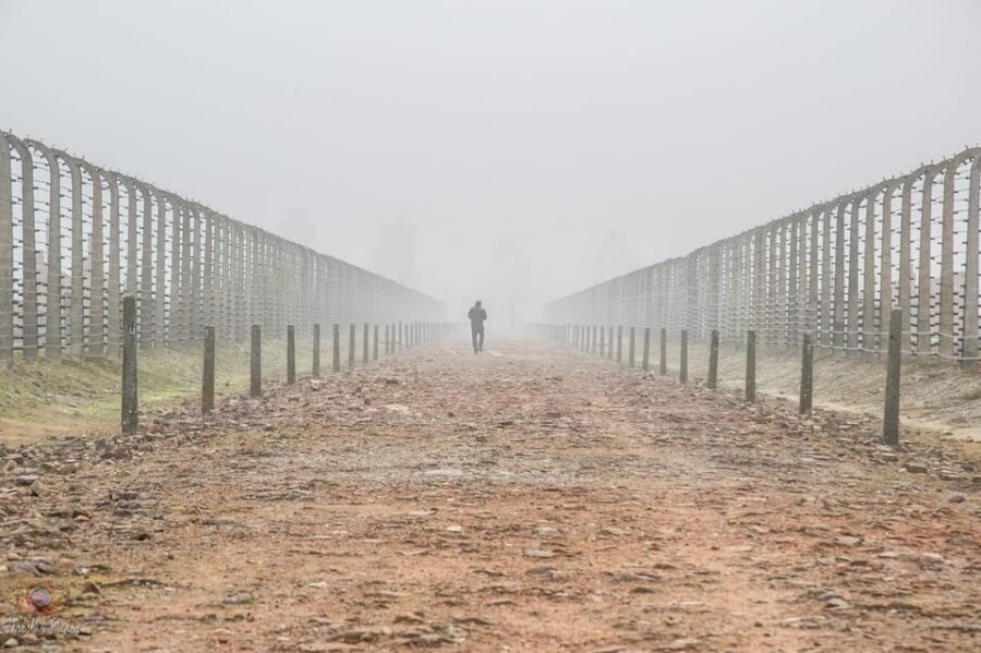 Krakow: Auschwitz-Birkenau Extended Guided Tour & Options