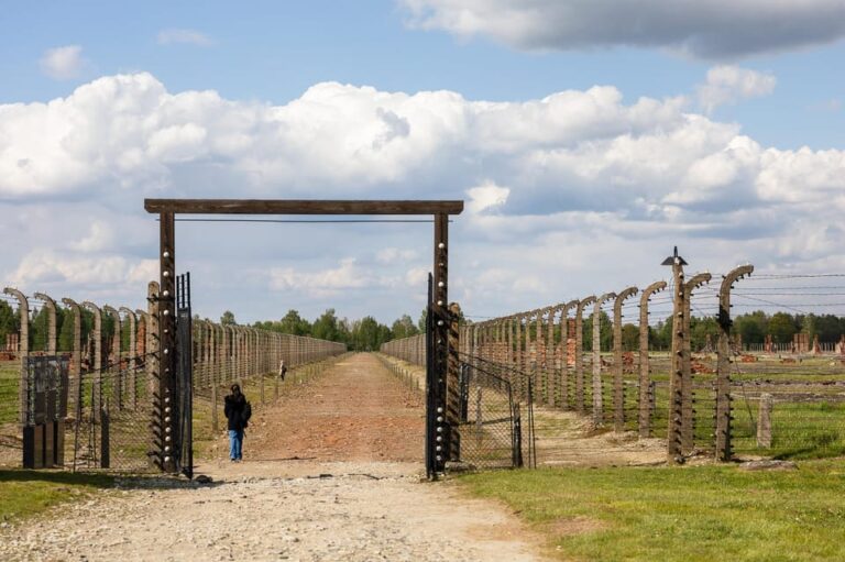 Krakow: Auschwitz-Birkenau Guided Tour With Transfer & Lunch