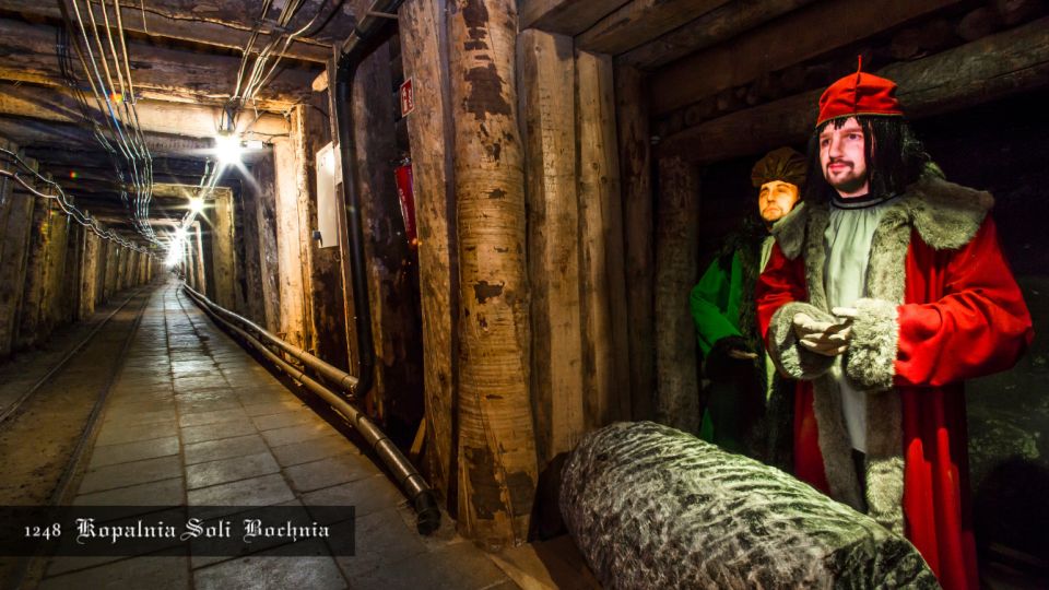 Kraków: Bochnia Royal Salt Mine Private Tour - Tour Overview