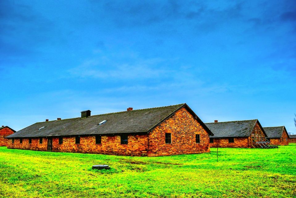 Krakow: Guided Auschwitz Birkenau Tour - Overview of the Tour