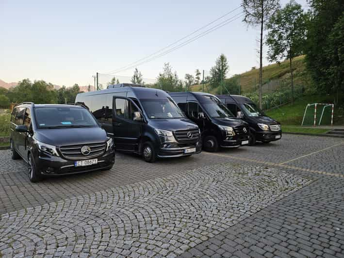 Kraków: Private Transport to the Auschwitz-Birkenau Museum - Overview of Private Transport