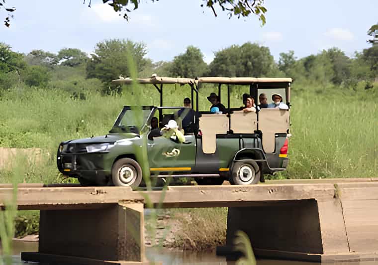 Kruger National Park Safari (Full Day)