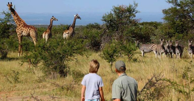 Kruger National Pk 4 Day Safari From Johannesburg & Pretoria