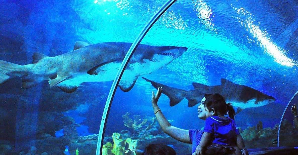 Kuala Lumpur: Aquaria KLCC Entry Ticket - Ticket Pricing Details