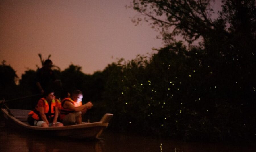 Kuala Lumpur: Kuala Selangor Firefly Tour and Dinner