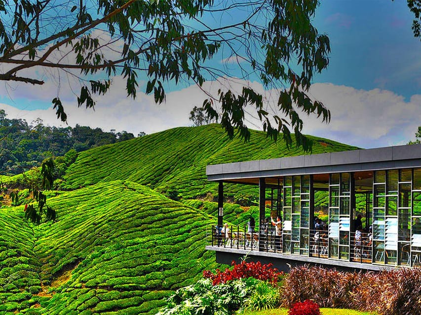 Kuala Lumpur: One-Way Transfer to Cameron Highlands - Overview of the Transfer