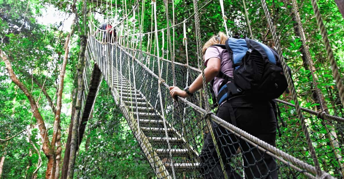 Kuala Lumpur: Taman Negara National Park Teras Waterfall - Overview of the Tour