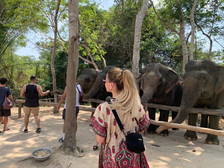 Kulen Elephant Forest & Tonlesap Lake Include Boat /Transfer - Tour Overview and Pricing