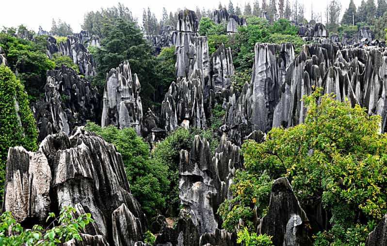 Kunming: Stone Forest and Jiuxiang Cave Day Tour - Tour Overview and Pricing