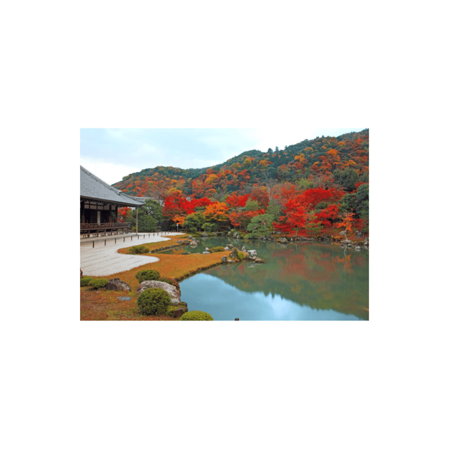Kyoto: Full Day UNESCO And Historical Sites Private Car Tour - Tour Overview and Pricing