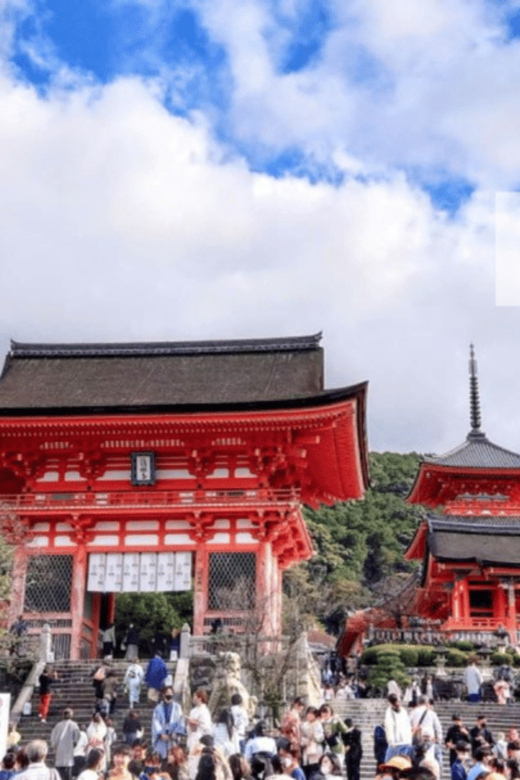 Kyoto: Full Day UNESCO And Historical Sites Private Car Tour - Experience Features