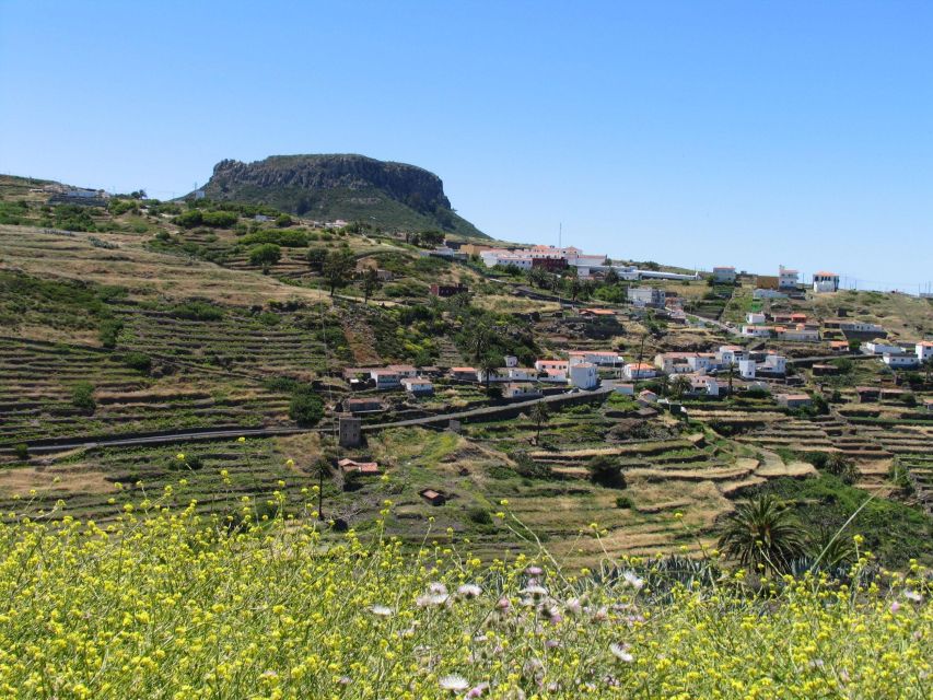 La Gomera: Guided Hiking Tours From Valle Gran Rey - Guided Hiking Tour Pricing