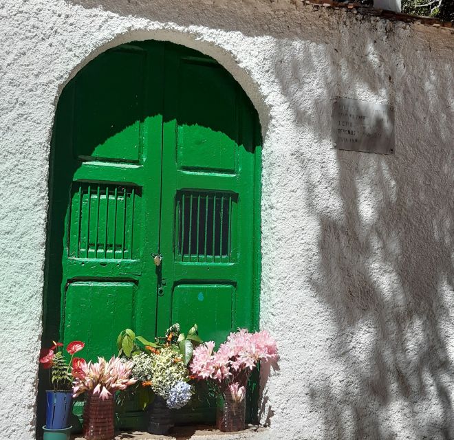 La Gomera: Hiking in the Mystical Garajonay National Park - Garajonay National Park Overview