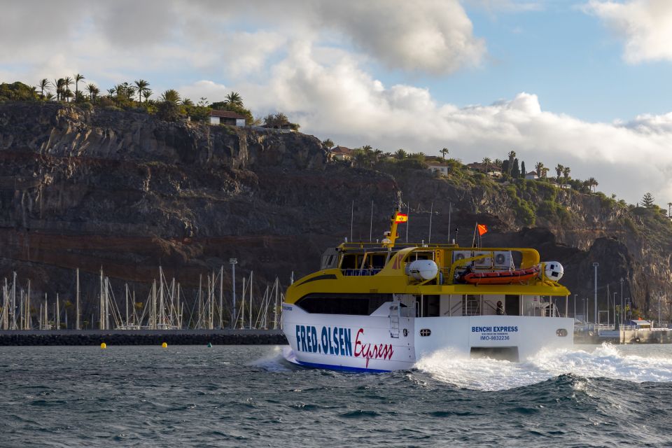 La Gomera: Internal Return Ferry Ticket - Ticket Pricing and Validity