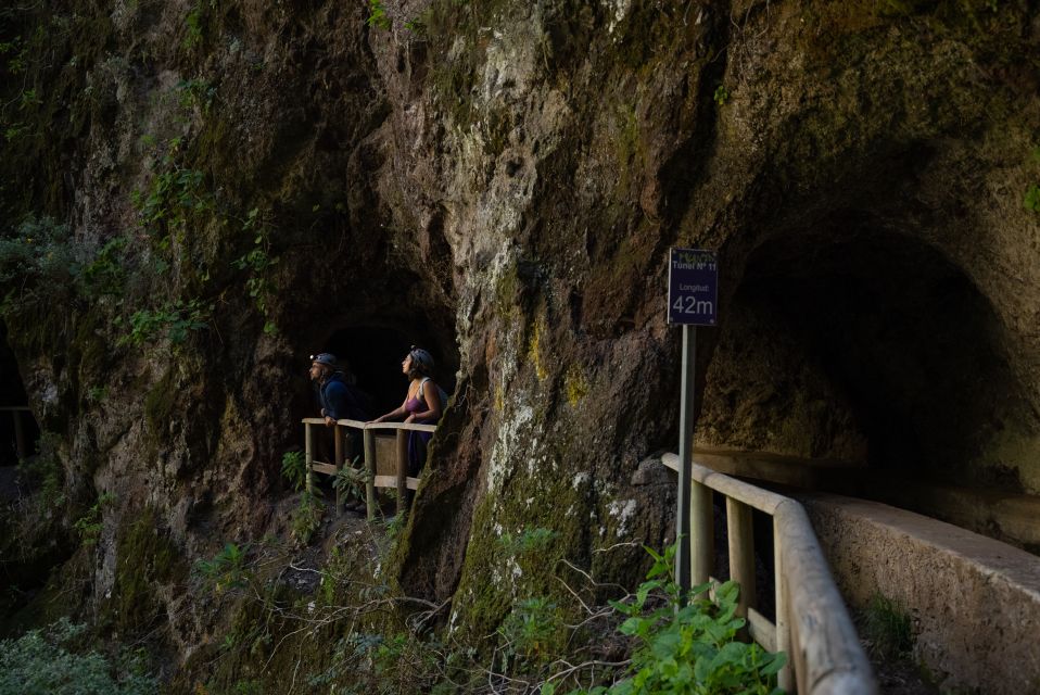 La Palma: Guided Trekking Tour Springs Marcos Y Cordero - Tour Overview