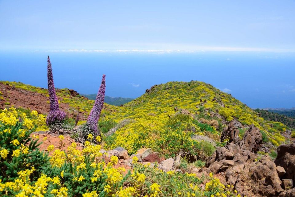 La Palma: Guided Trekking Tour to El Roque De Los Muchachos - Tour Overview and Pricing